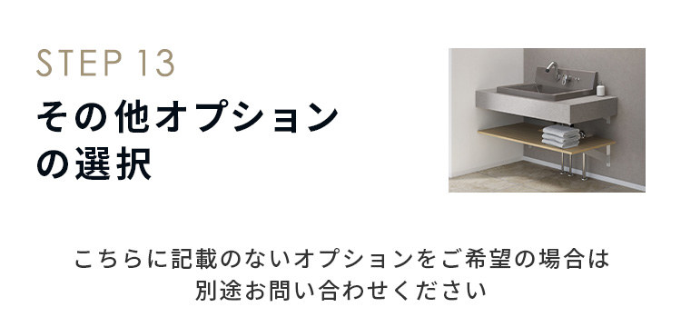 STEP13 ¾ץ